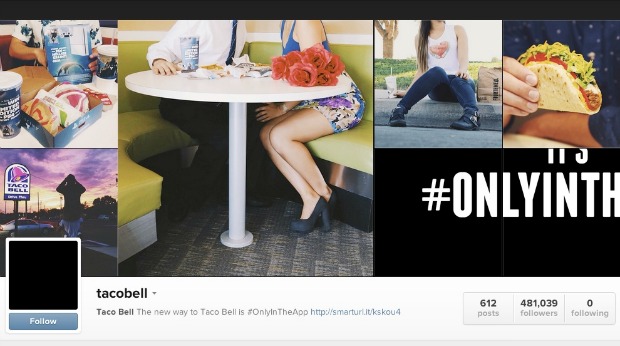 brands to follow on instagram