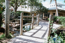 digital marketing for assisted living