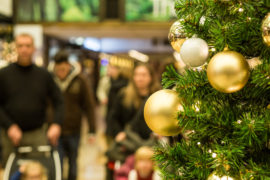 digital marketing bradenton fl